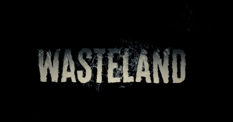 'Wasteland'