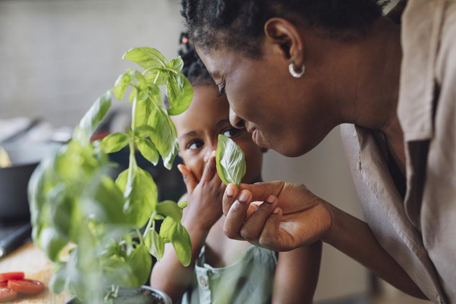 Mother smelling the leaf of a basil plant next to daughter. 