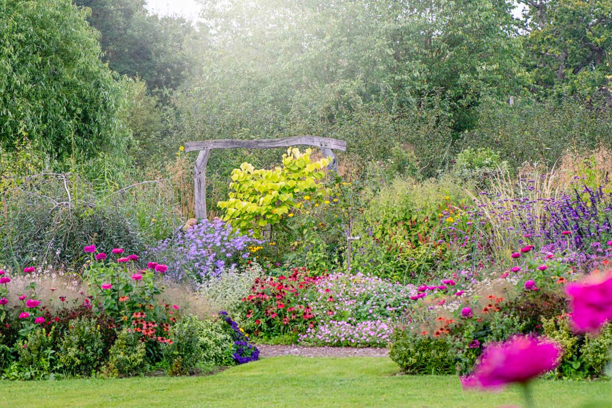 pn/afbd bbf d  faceaf