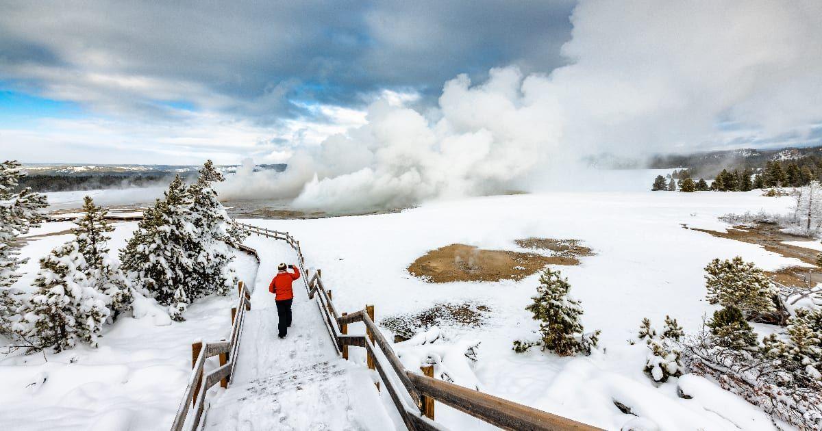 A person walking on Yellowstone National Park's boardwalk in the winter (Representative Cover Image Source: Getty Images | Jordan Siemens)