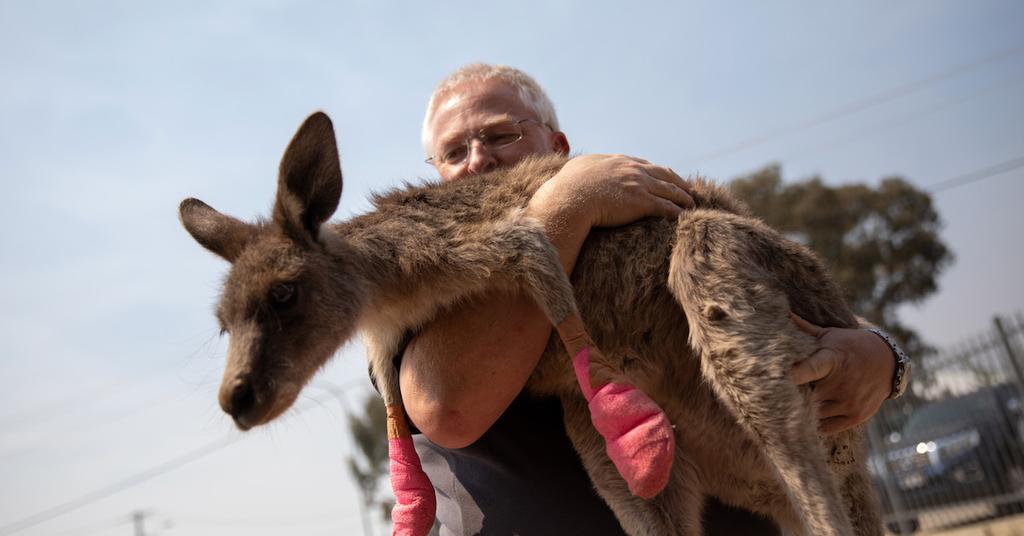 Amazon Prime’s ‘Burning’ Documentary Discusses the Damage Done by the