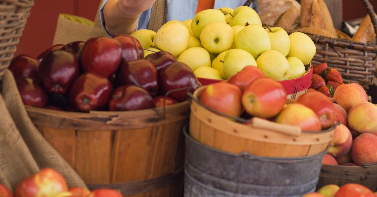 farmers market waste free