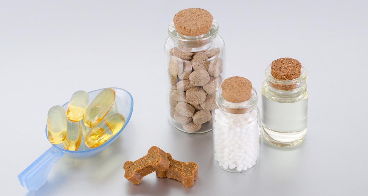 Picture of Sources of Omega-3 Fatty Acids for Dogs