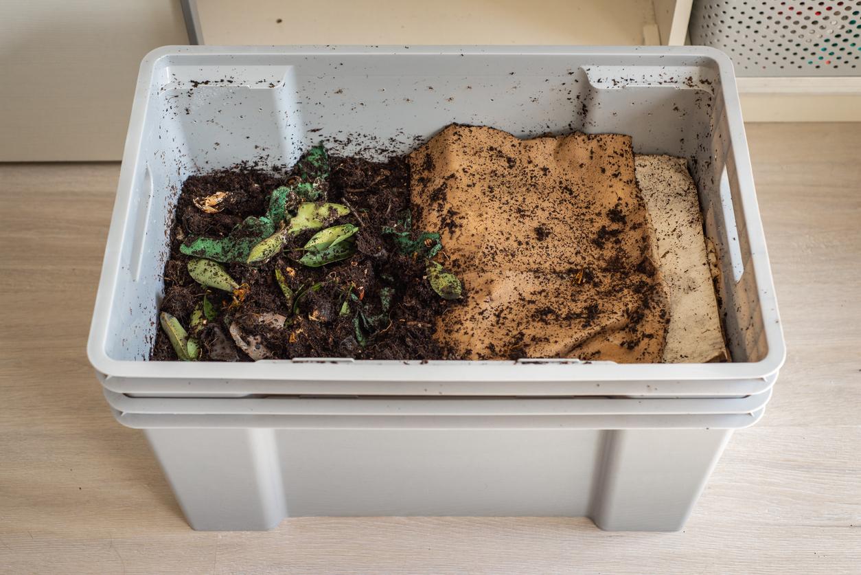 The DIY Worm Farm: How to Make a Worm Bin – Mother Earth News