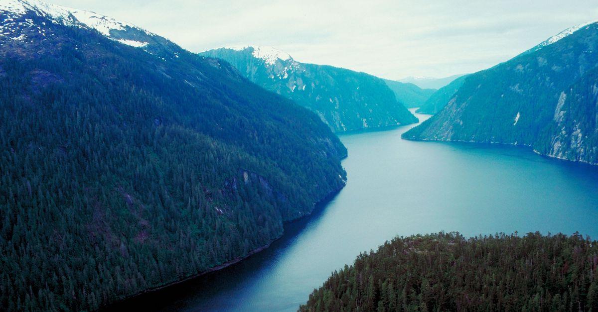 tongass lawsuiti