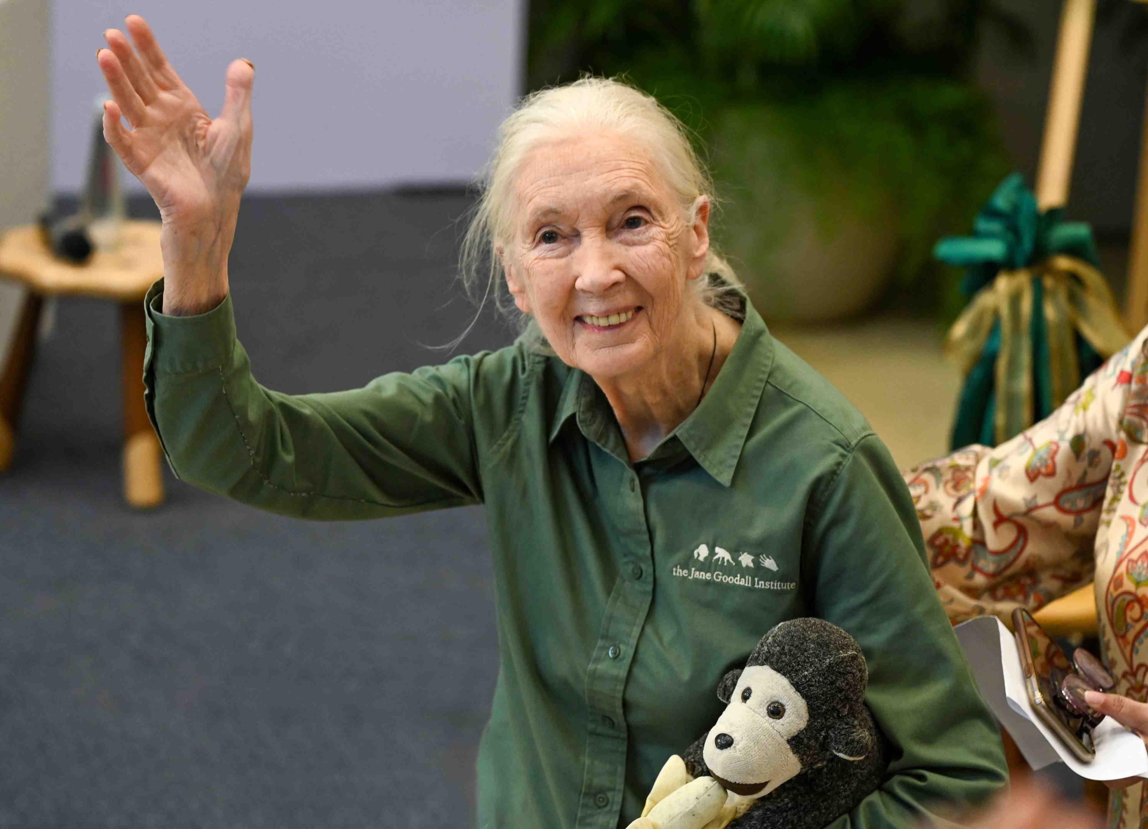 Jane Goodall waves during her "Hope Global Tour" in Mumbai, India in November 2024.