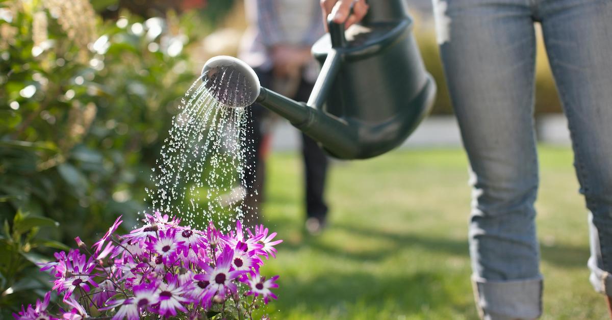 watering can