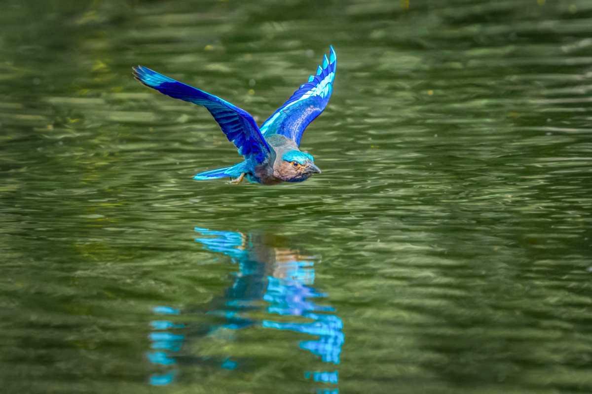 pn/dbf cc a aeb bfbbac