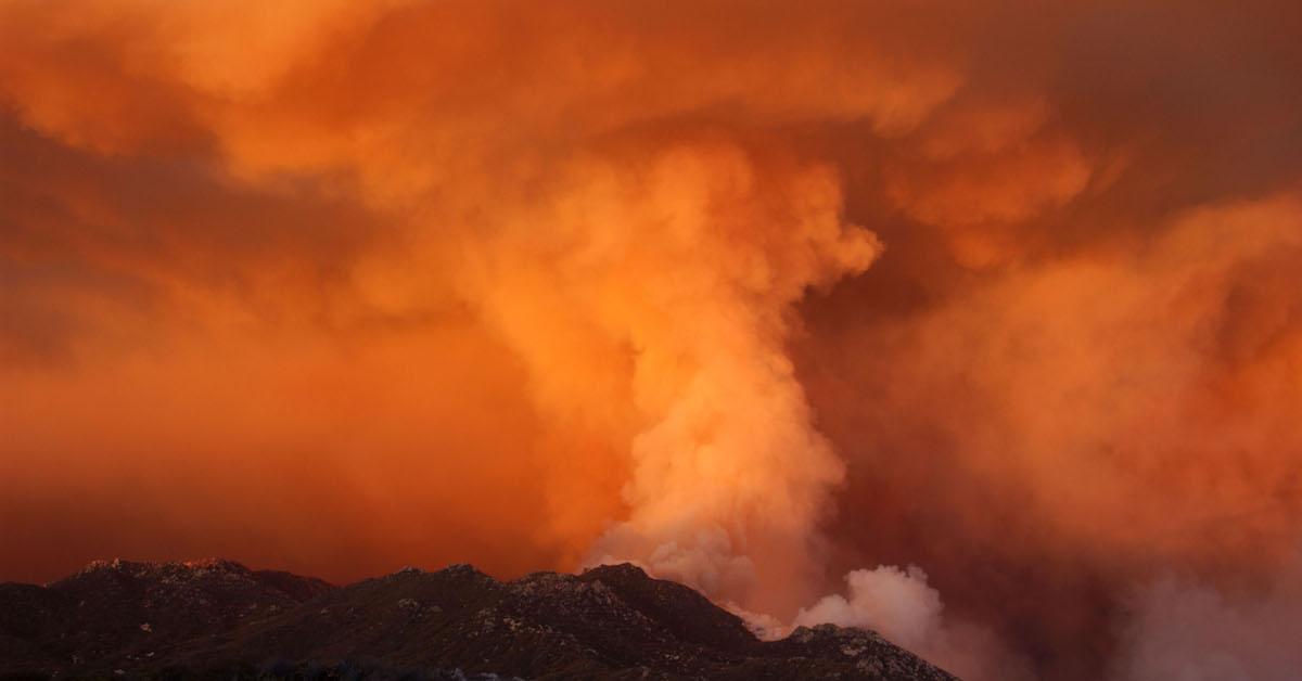 Raging forest fire