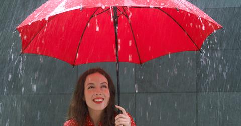 Cicada Pee: What You Need to Know