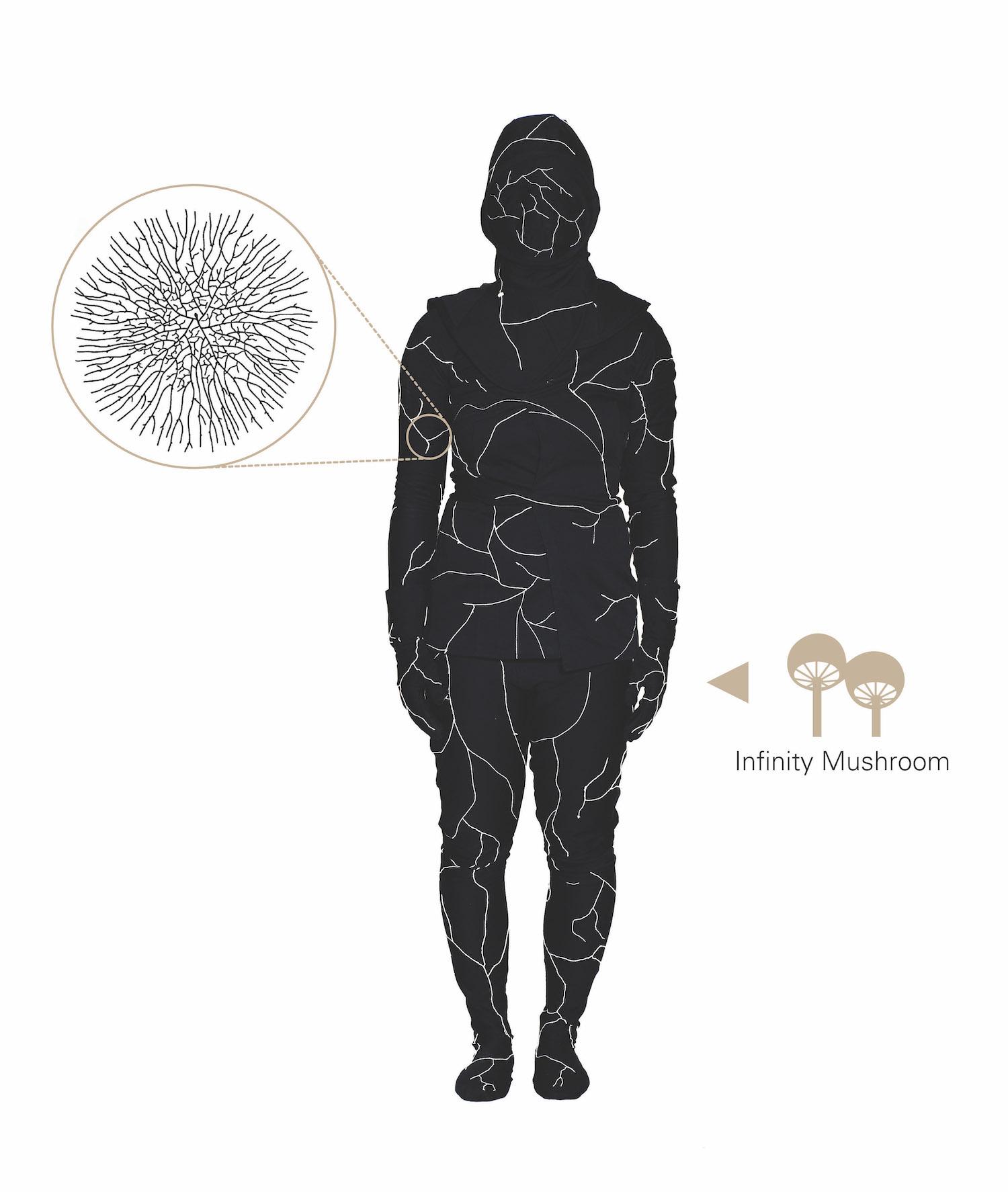 lee_suit_diagram_james_patten