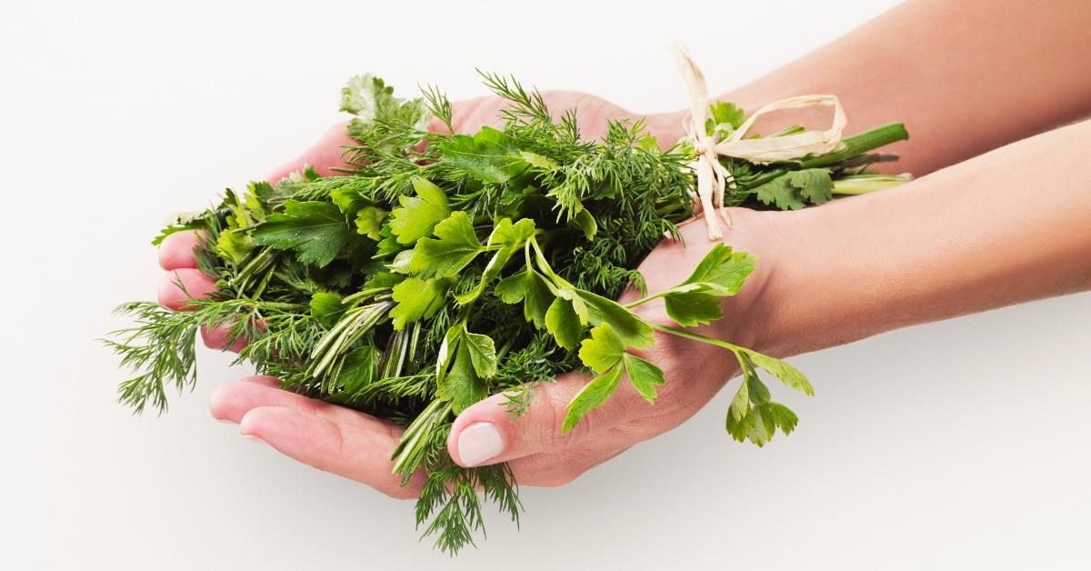 A bundle of natural herbs