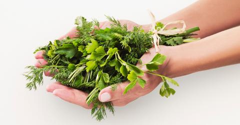 A bundle of natural herbs