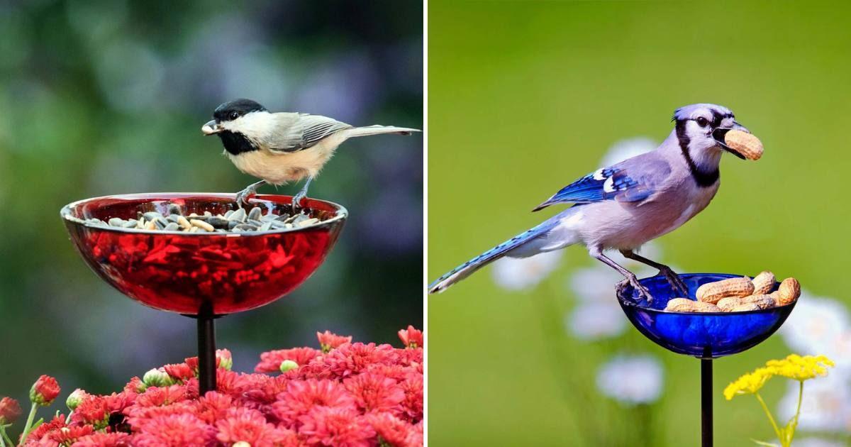 Recycled glass bird feeder available in a variety of bright colors (Cover Image Source: Etsy)