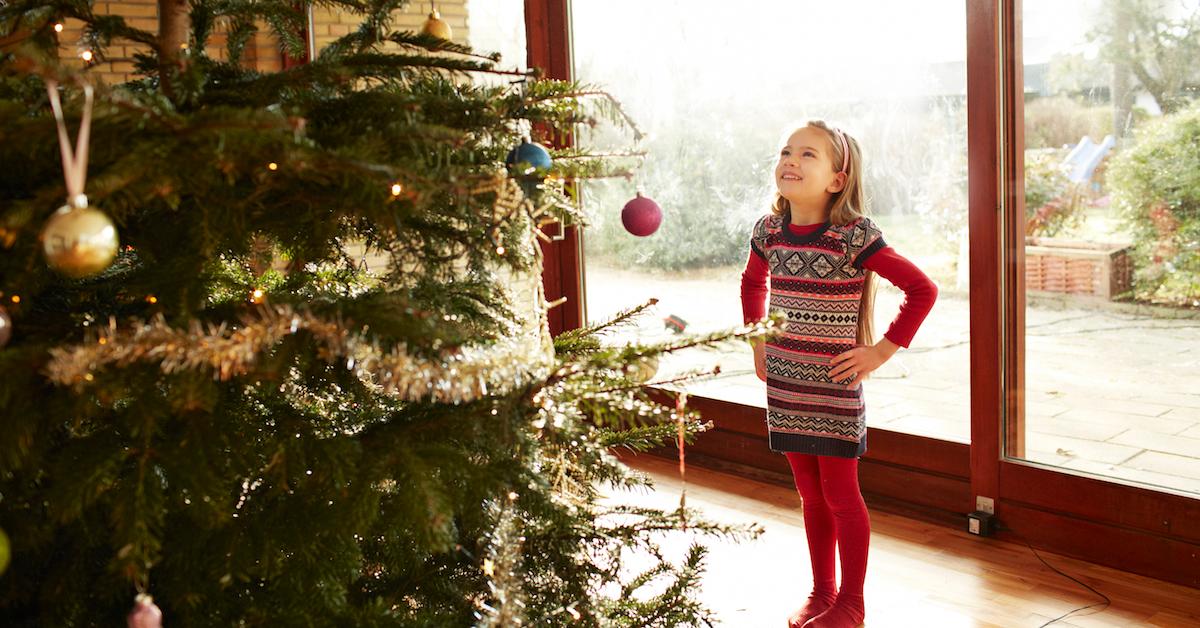 Real Vs. Fake Christmas Trees: Which Is More Eco-Friendly?