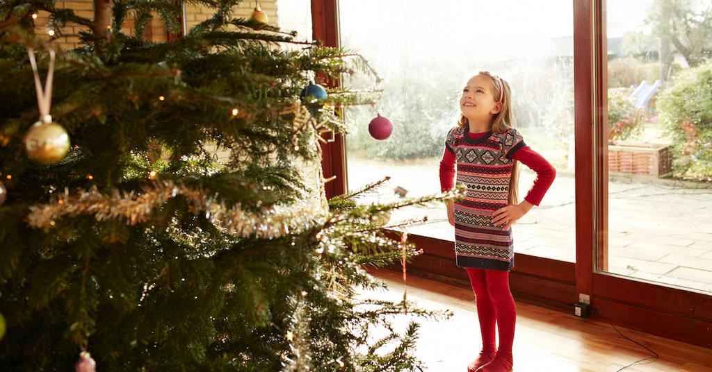 Real vs. Fake Christmas Trees Which Is More EcoFriendly?