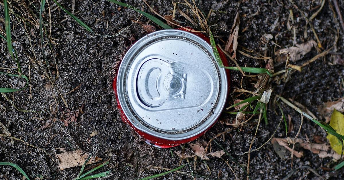 Is Beer Good for Plants? Inside This Garden &ldquo;Hack&rdquo;