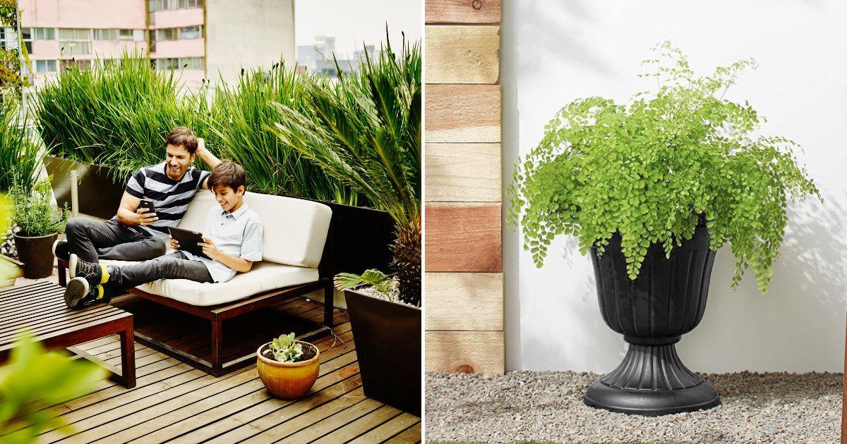 (L) Father and son chilling in an outdoor garden; (Representative Image Source: Getty Images |Thomas Barwick); (R) Amazon's plastic planter. (Image Source: Amazon)