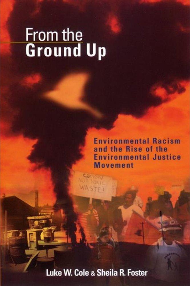 12 books on racial, gender, and environmental/climate justice