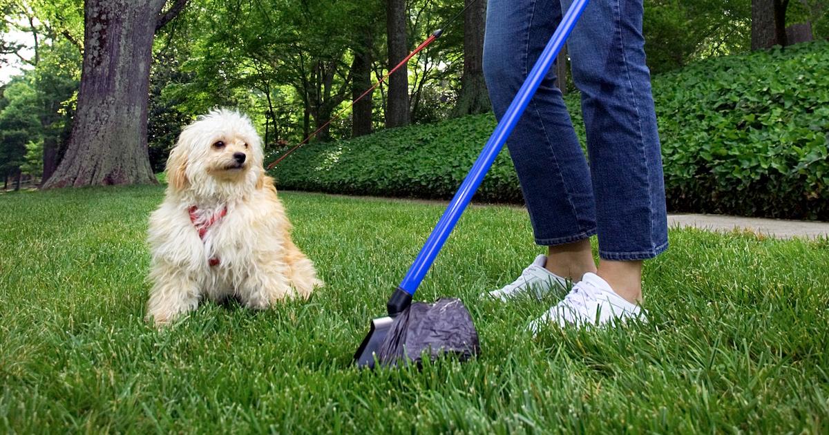 can i leave dog poop in my yard