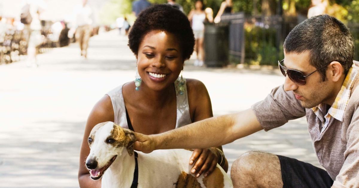 A woman and man pet a smiling dog outside.