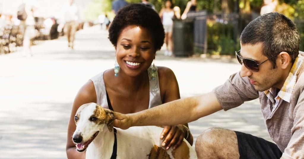 Is My Dog Racist? A Veterinarian on Whether Dogs Can Be Racist