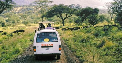 A safari van waits for a large herd of wildebeest to pass by. (Representative Cover Image Source: Getty Images | Buddy Mays)