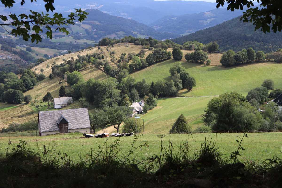 pn/fbeba fbf ba ad bbfbdcab