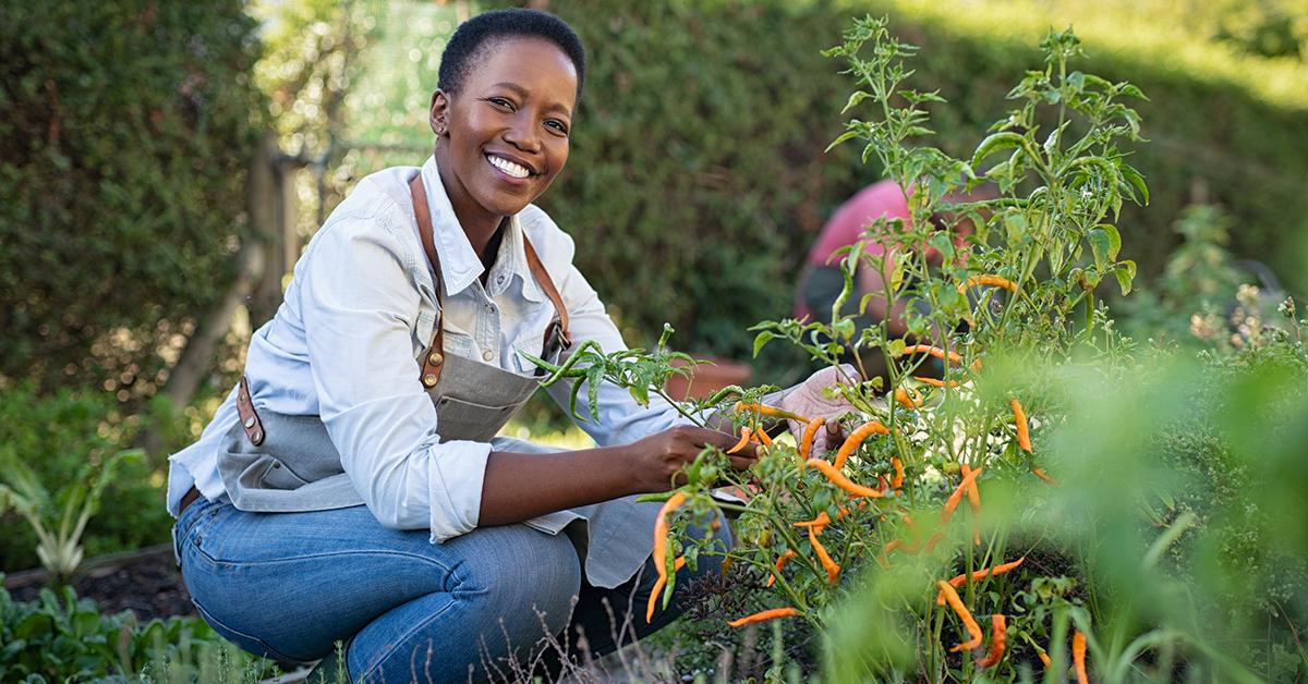 Gardening