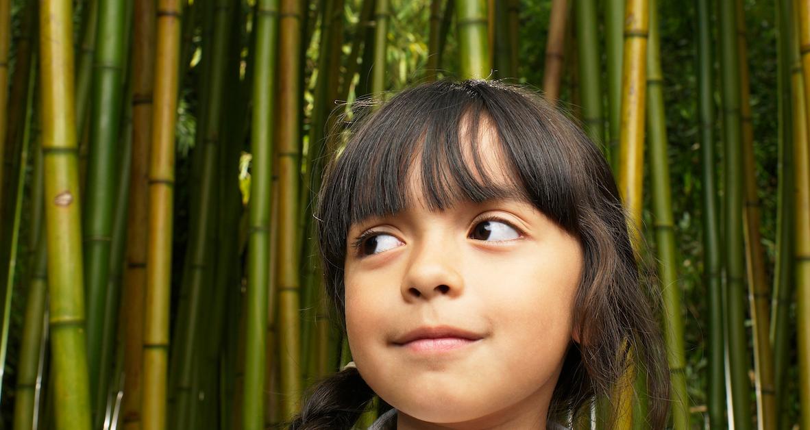 Why Is Bamboo Sustainable?