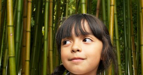 why is bamboo sustainable