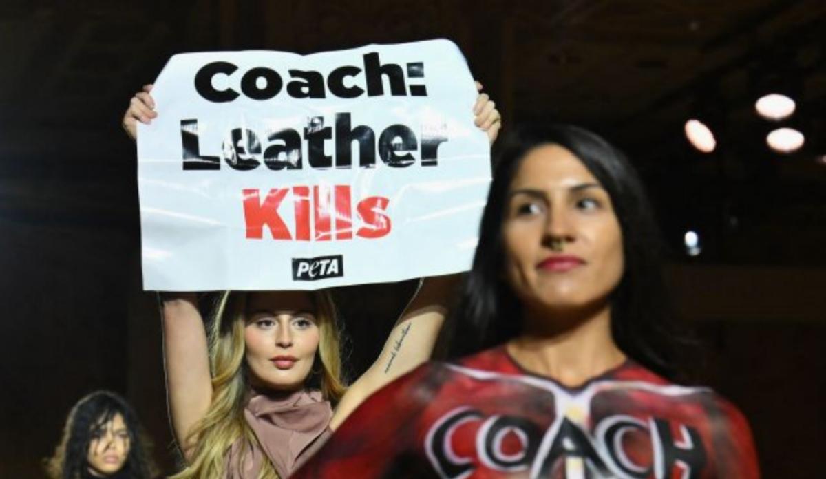 Protestor holding sign that reads Coach: Leather Kills