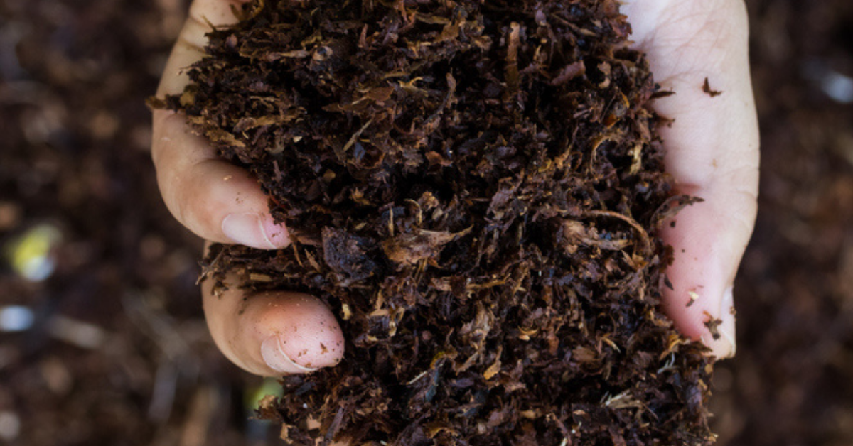 compost not breaking down hand