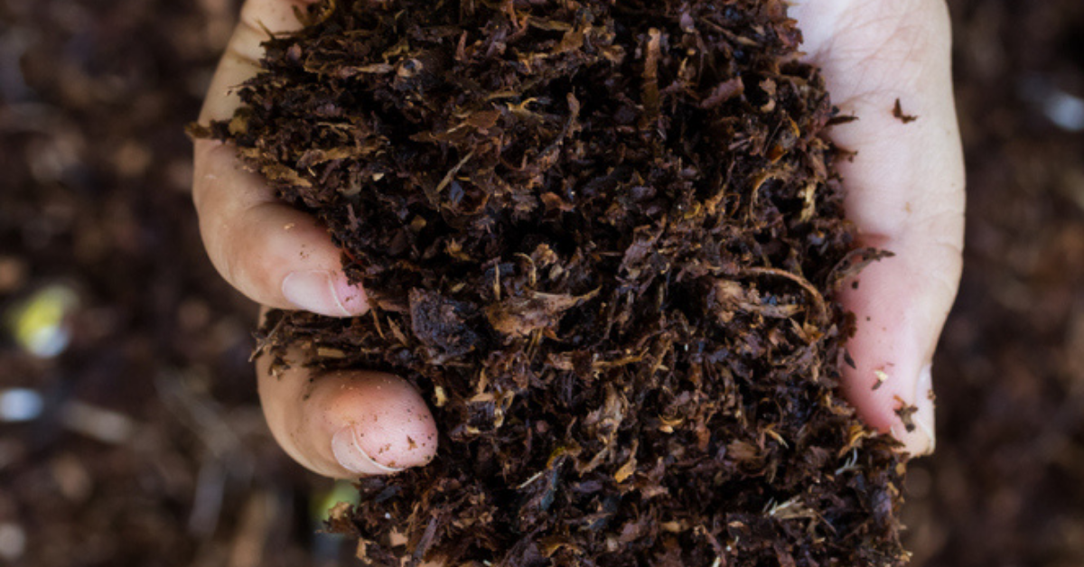 Why Is My Compost Not Breaking Down? We Have the Answers You Need