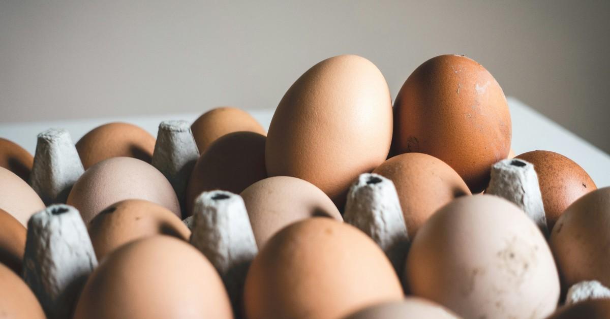 Brown eggs sit in an egg carton