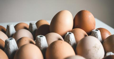Brown eggs sit in an egg carton