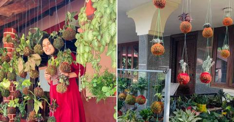 Indian woman known to design Japanese-inspired gardens (Cover Image Source: Instagram | @riddhiplants.in)