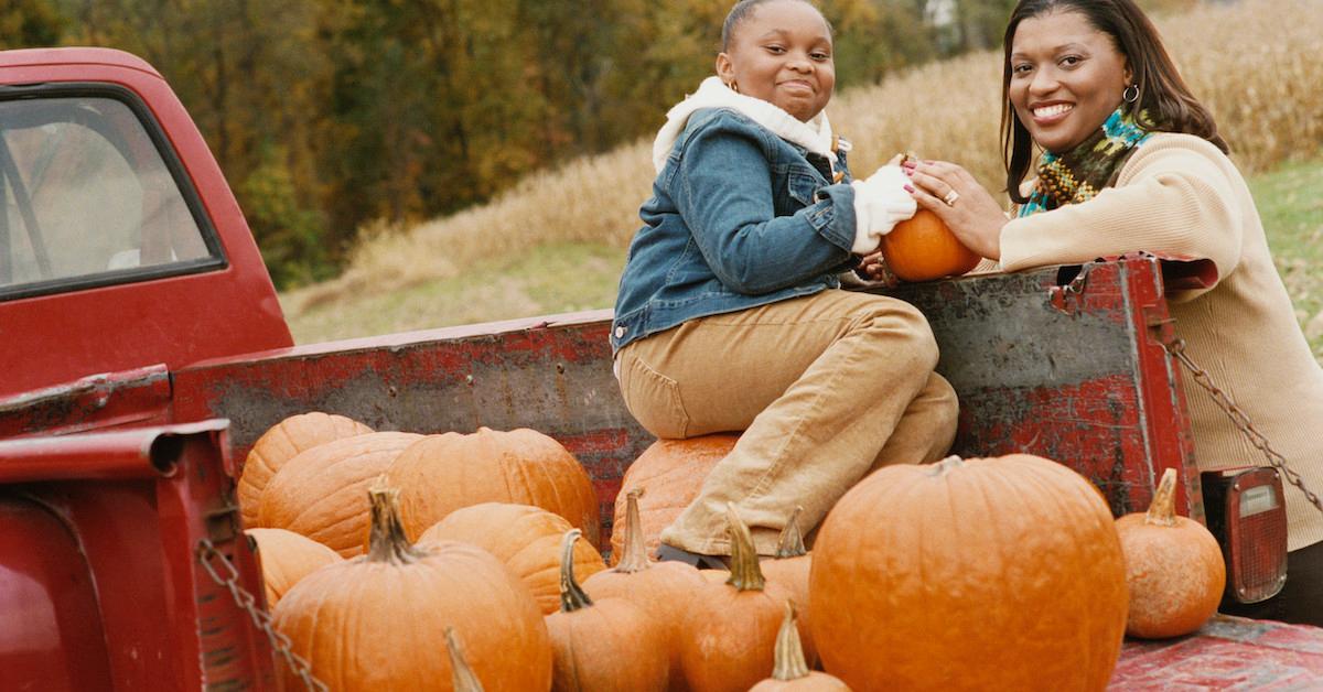 Pumpkin Disposal