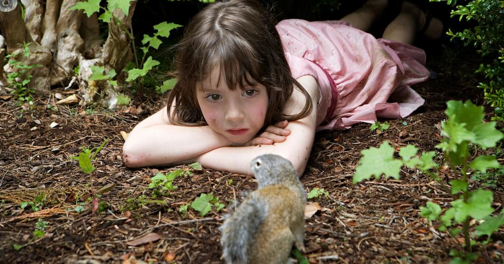 How to Keep Squirrels Out of the Garden