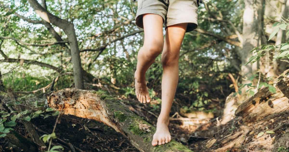 A person walking barefoot on a tree trunk in a forest. (Representative Cover Image Source: Getty Images | Westend61)