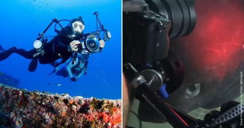 (L) A diver holding an underwater camera. (Representative Cover Image Source: Pexels | Leonardo Lamas) | (R) A predatory creature with human-like eyes. (Cover Image Source: YouTube | @OceanX)