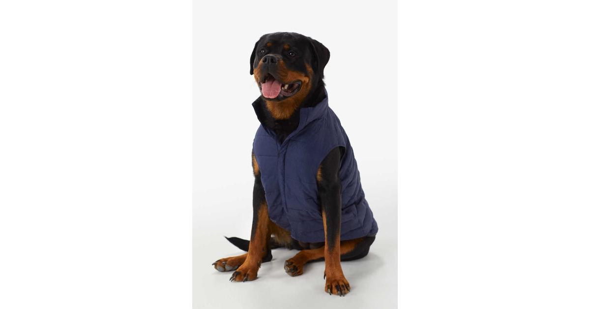 Large Dog Winter Jacket