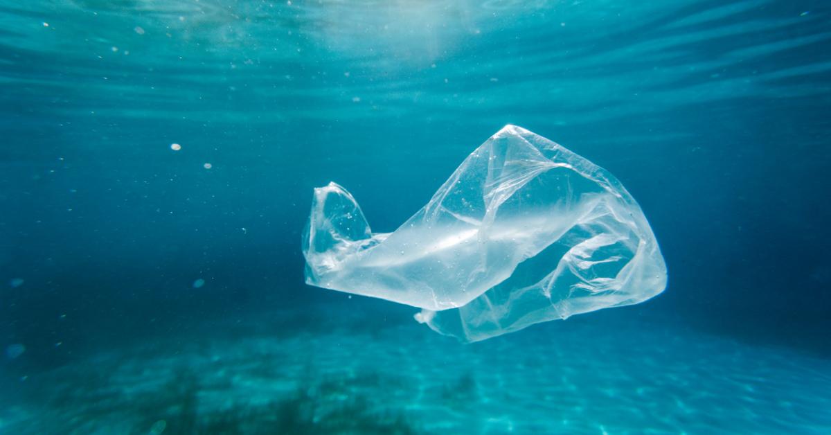 Photo of plastic bag floating in ocean