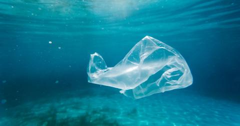 Photo of plastic bag floating in ocean
