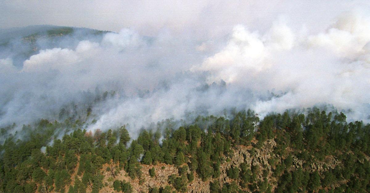 New Mexico Fires