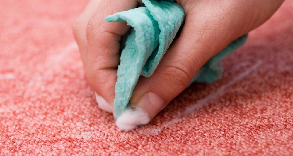 Someone cleaning a peach-colored carpet. 