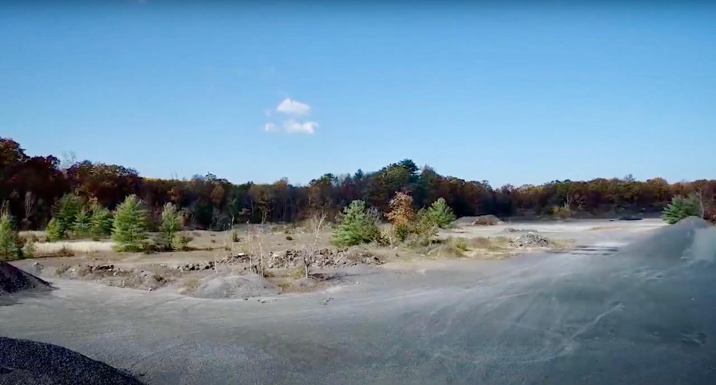 A wide shot of trees at the site of the fossil forrest where scientists uncovered the world's oldest forrest near Cairo, N.Y.