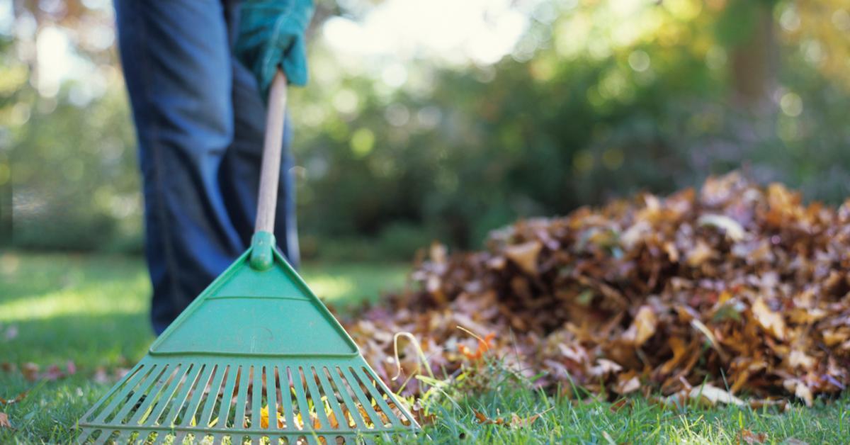 How to dispose of yard waste