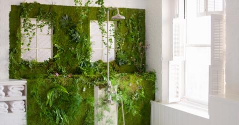 What is vertical vegetable gardening?