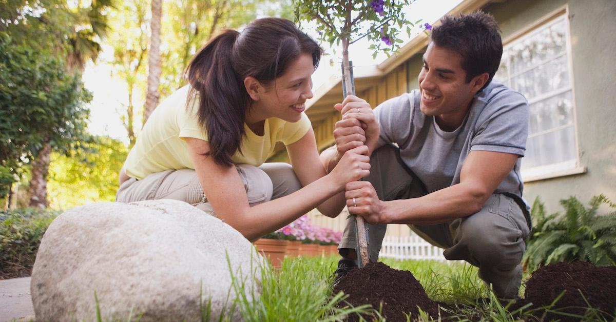 Couple Planting Tree